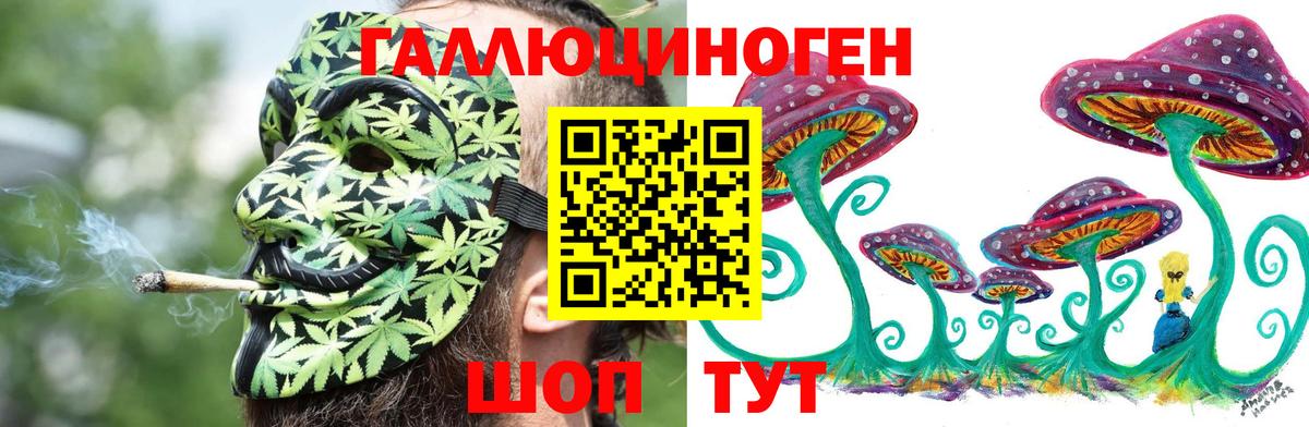 Гай  Псилоцибиновые грибы ЛСД  Вход с VPN 